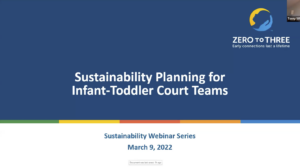 Sustainability Planning for Infant / Toddler Court Teams